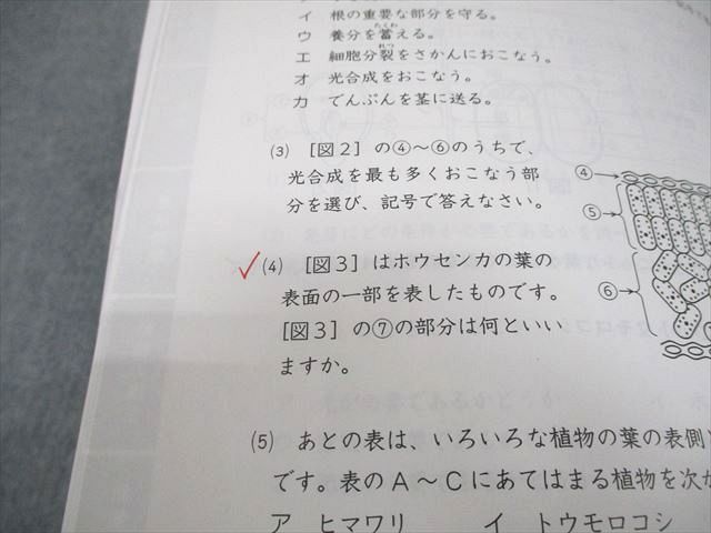 浜学園　6年　星光・東大寺/男子最難関　日曜志望校別/入試直前　2020年度版 浜学園 小6 理科 男子最難関/M星光・東大寺コース 日曜志望校別/入試