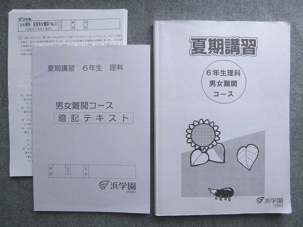 浜学園 夏期講習 6年生 理科 男女難関コース/暗記テキスト 2019 計2冊