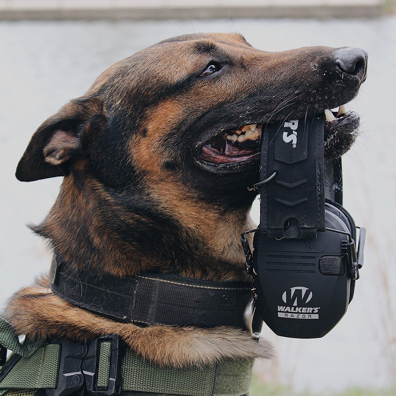  Walker s Walkerinchs Walkers GWP RSEMPAT レーザースリム 電子マフ ブラック パトリオット Free Size その他 避難用具