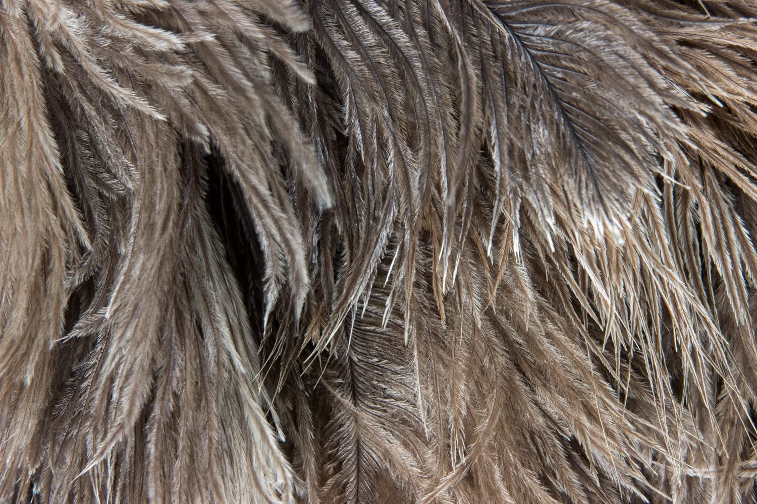 新品 ESCI 【日本製】最高級の手造り毛ばたき! オーストリッチ羽毛の