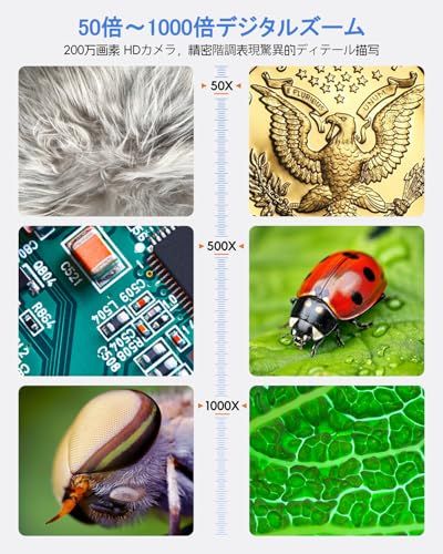 肌チェック 生物観察