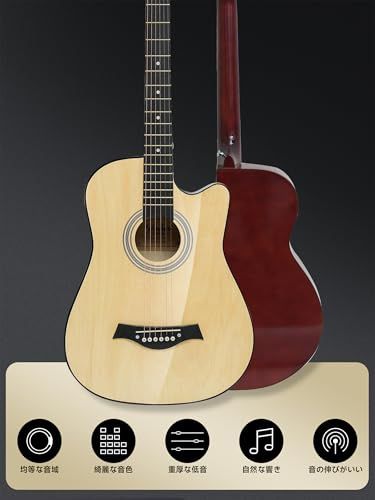 アコースティックギター 17点セット 初心者入門セット 練習ギター ソフトケース付き アコギ guitar LGJT YM 2405 Apo ec 187 f 64