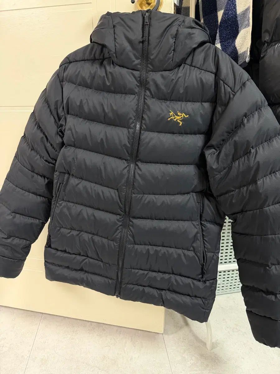 M アークテリクス トーリウム 24 K