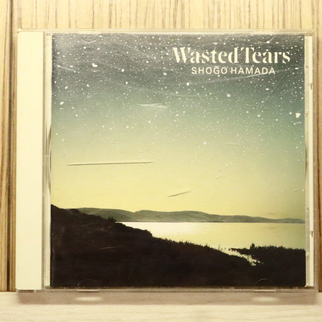 国内盤CD☆浜田 省吾/Shogo Hamada□ WASTED TEARS 【32DH5269