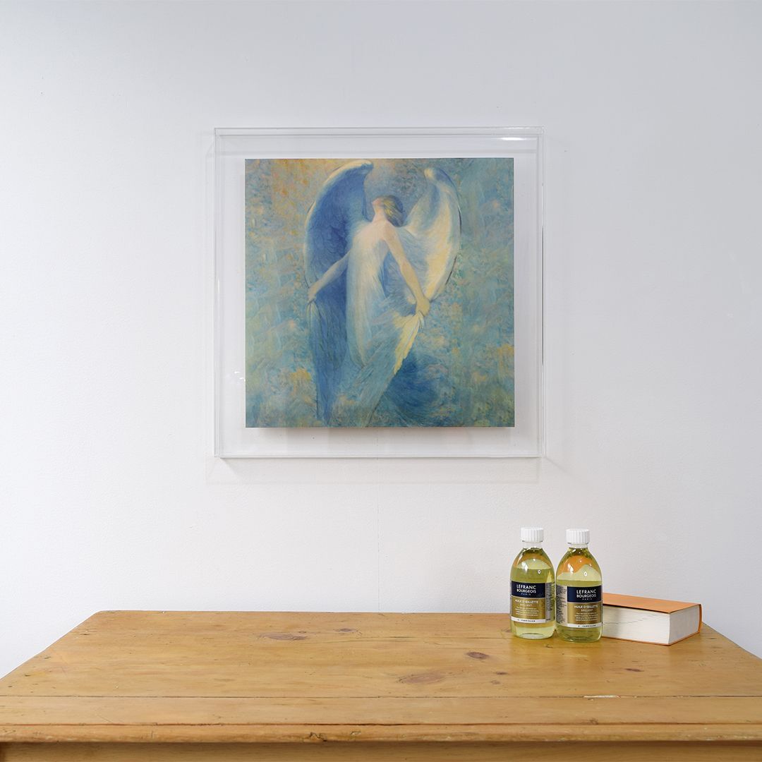 F12 ネジの見えないアクリル製の透明な額 prèdoux アクリル立体額