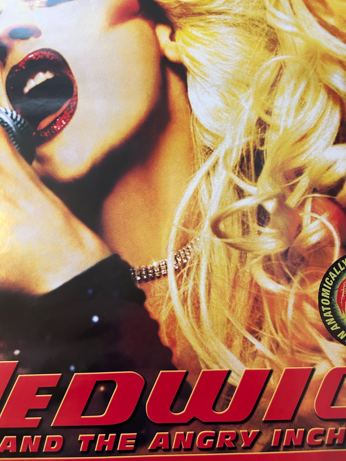 ヘドウィグ・アンド・アングリーインチ Hedwig and the Angry Inch