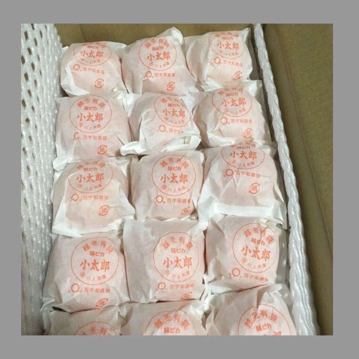 味ピカ 小太郎 S 30玉 約2kg 化粧箱 愛媛みかん - メルカリ