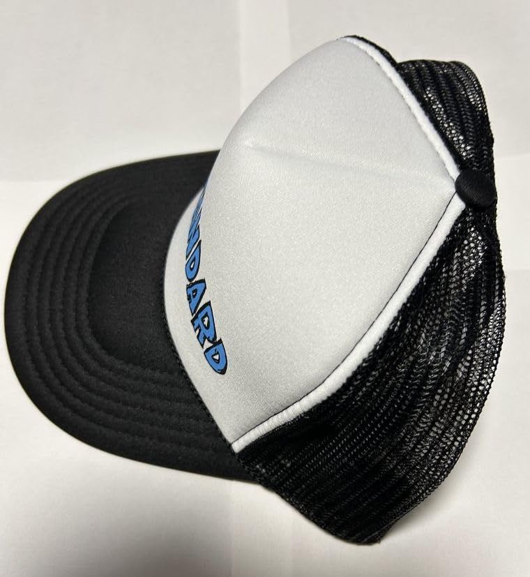 Hi-STANDARD ハイスタンダード ハイスタ グッズ 2025 SNB TOUR