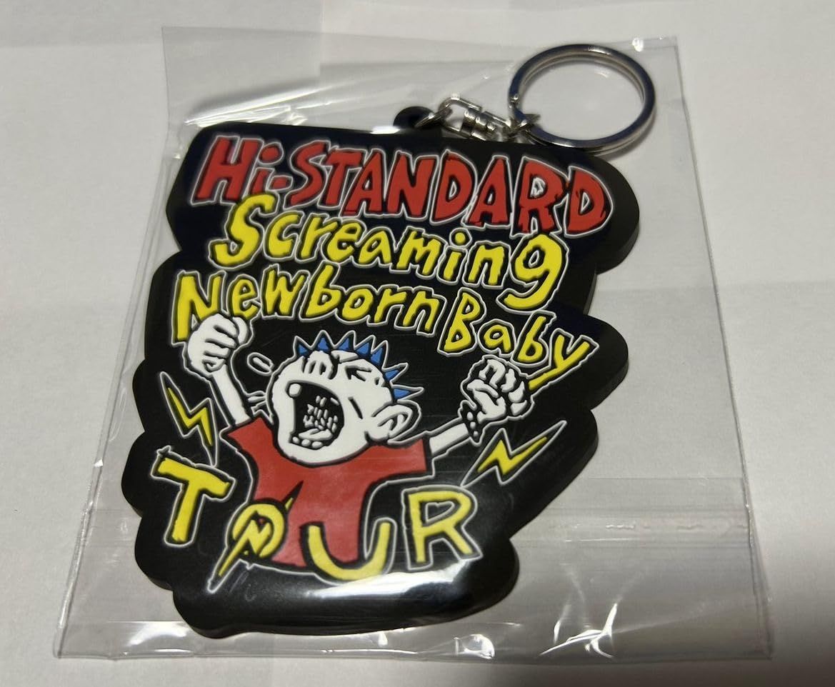Hi-STANDARD ハイスタンダード ハイスタ グッズ 2025 SNB TOUR PVC