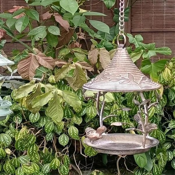 ガーデンオーナメント 鳥 鋳鉄製 バードフィーダー バードウォッチング