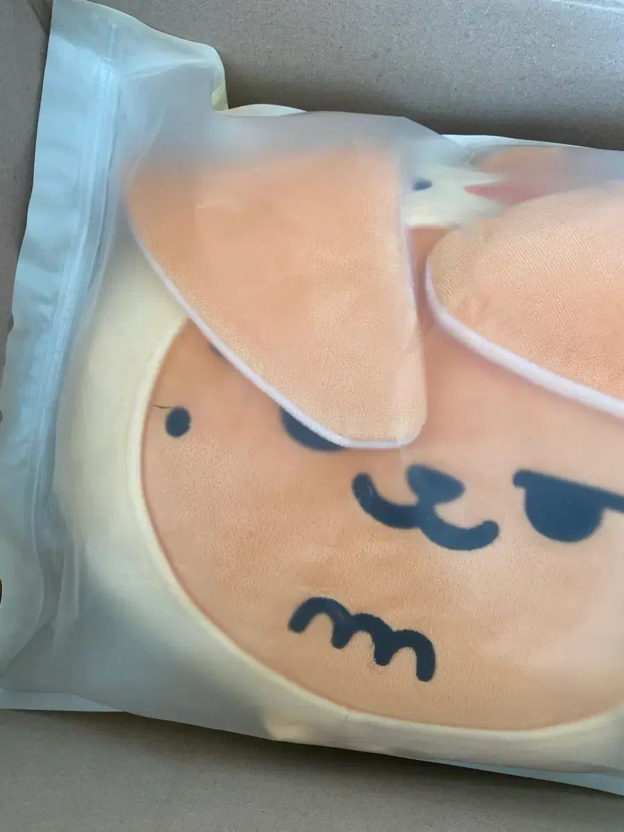 TOMORROW X TOGETHER TXT プルバトゥ ファン ギュン FACE クッション