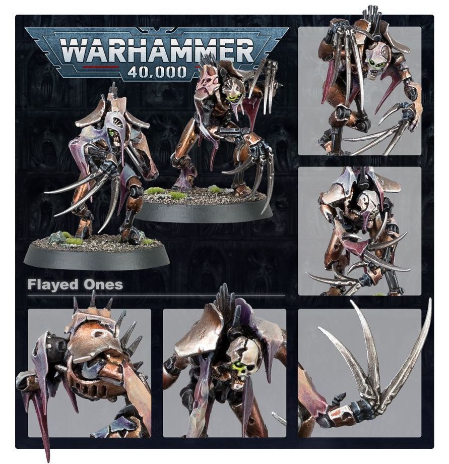 WH40K：ネクロン: フレイド・ワン：ウォーハンマー40,000 - メルカリ