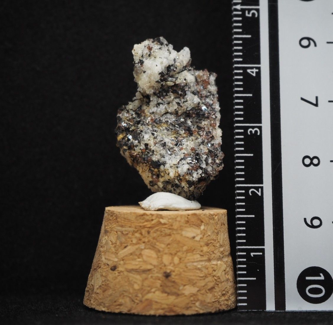 南極の石 - メルカリ