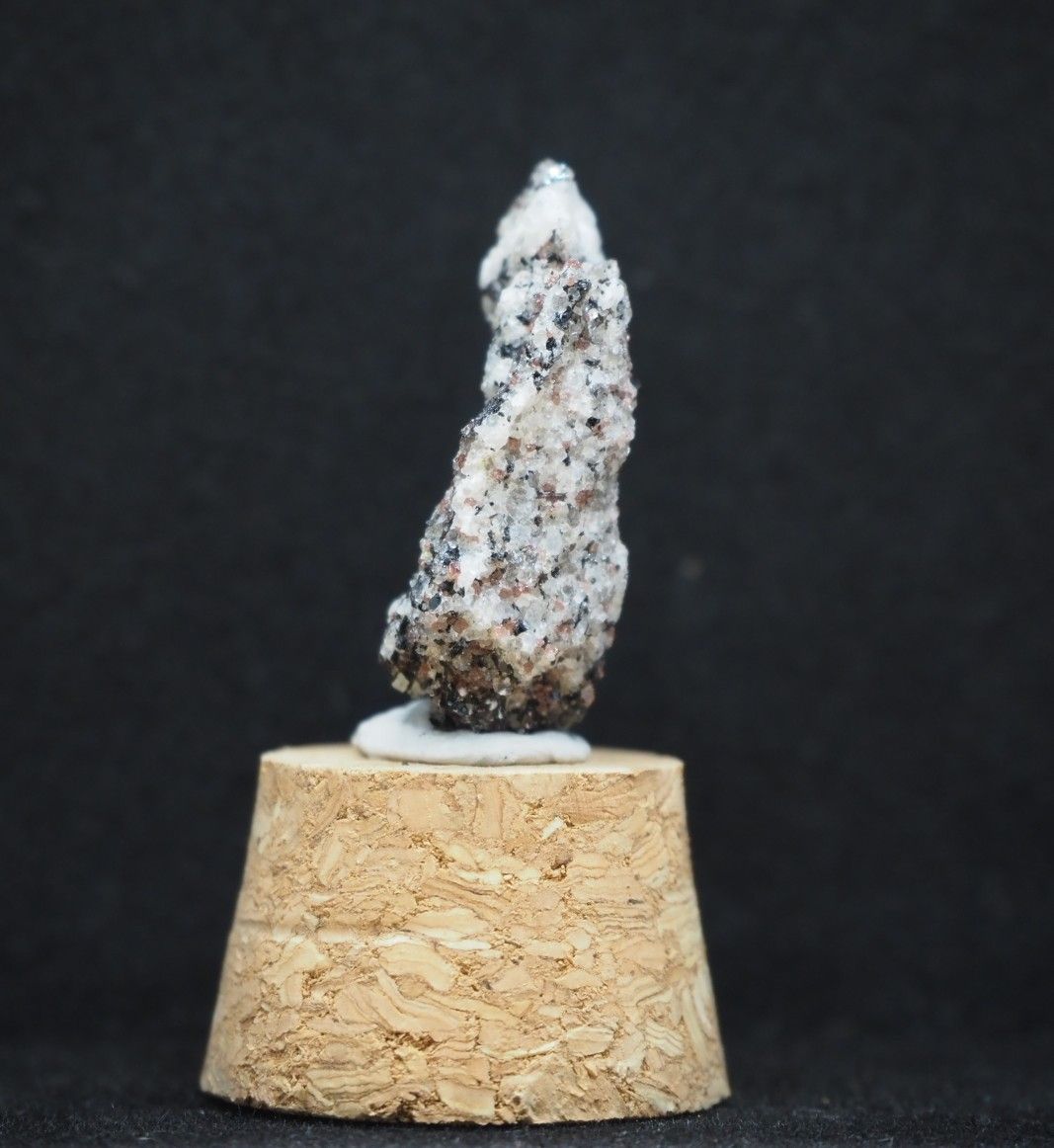 南極の石 - メルカリ