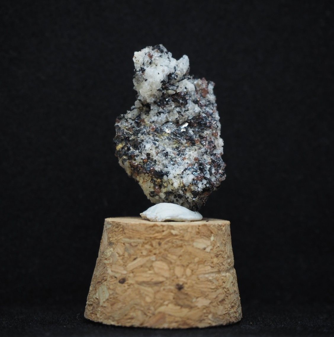 南極の石 - メルカリ