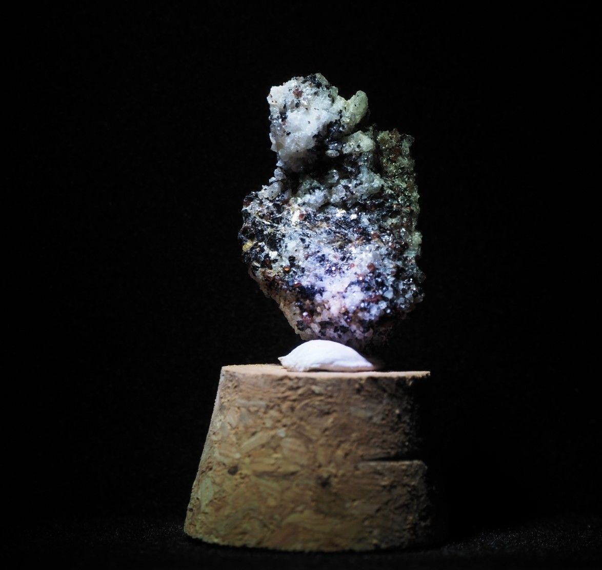 南極の石 - メルカリ