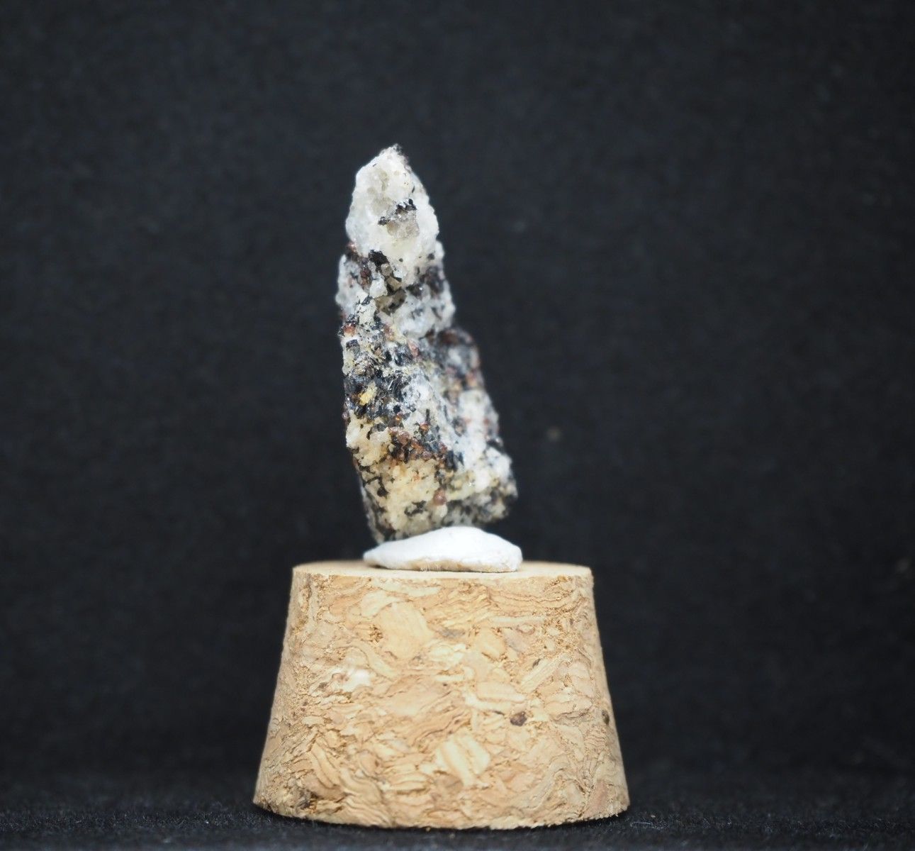 南極の石 - メルカリ