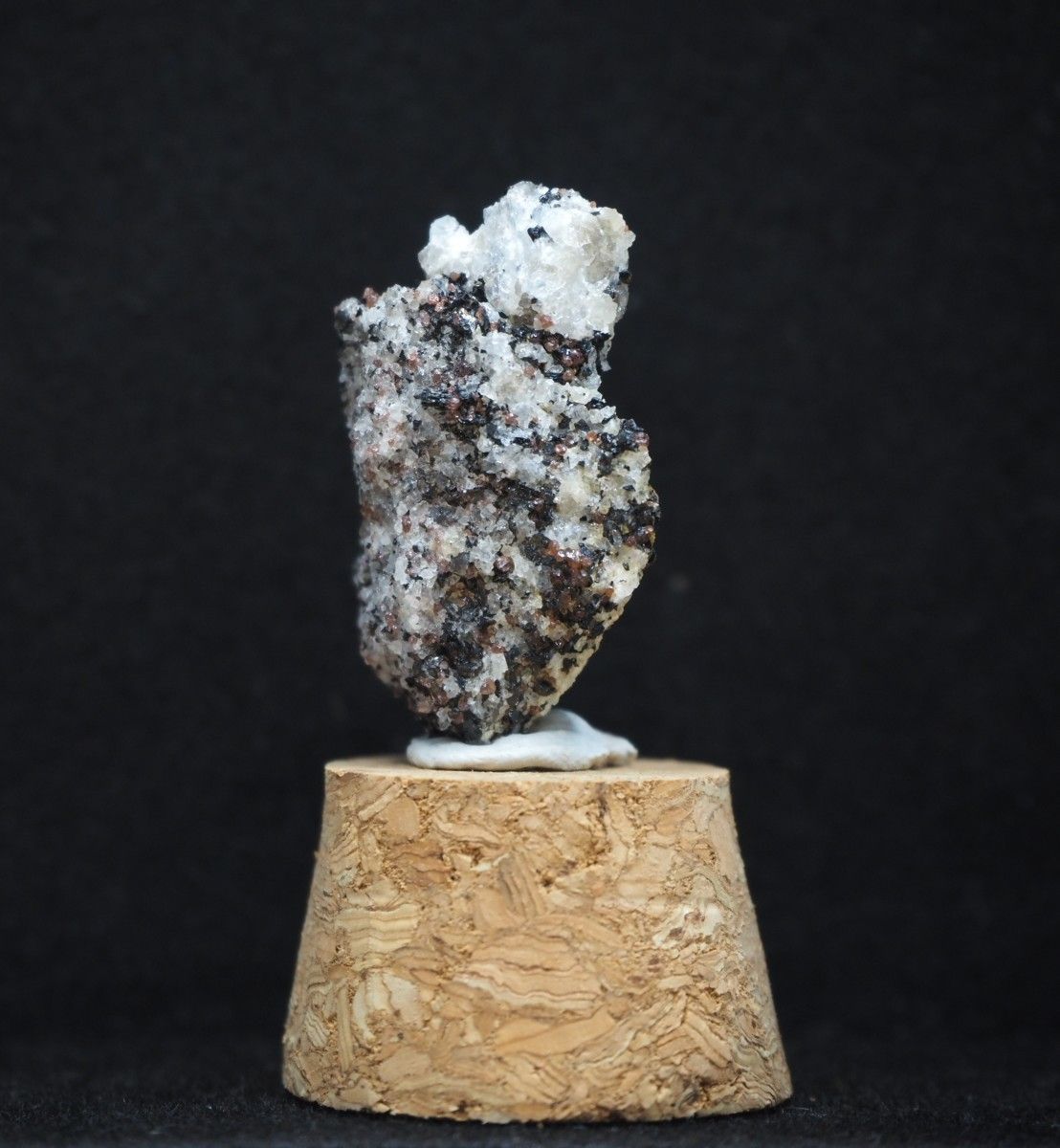 南極の石 - メルカリ