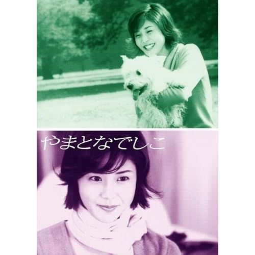 DVD TVドラマ やまとなでしこ BOX