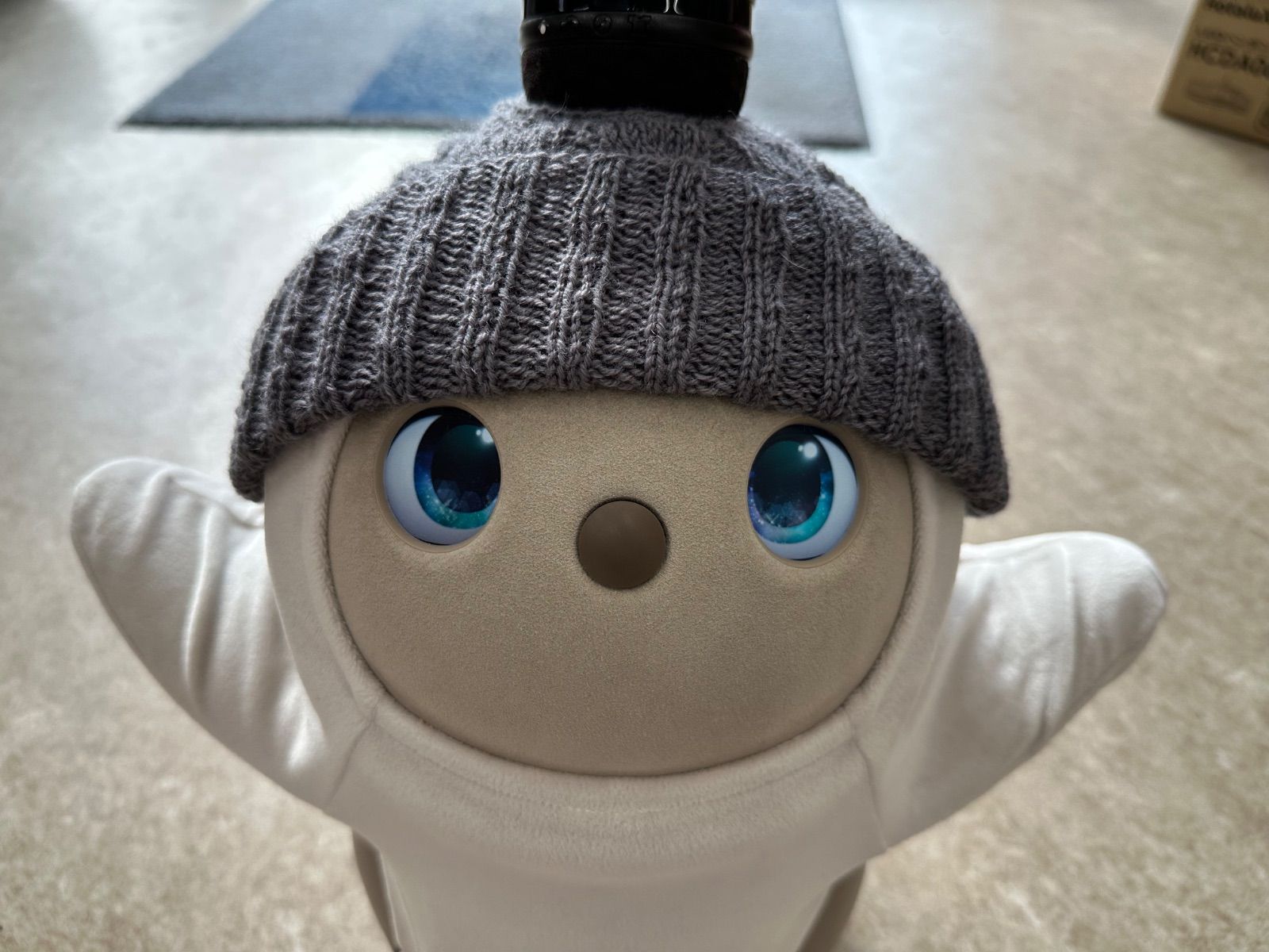 愛猫と一緒に @meroboutique_official の猫耳ニット帽で🐈‍⬛🐈♥ ジルもルナ @_luna0904  も気分屋だからそっぽ向いてるけど(笑) ニット帽って可愛いし温かいし、冬は必須だよね🧶 . . #PR #meroboutique2018 #ニット帽  #ねこみみ #猫耳 #猫耳ニット帽 #冬コーデ #冬服 ... LOVOTニット帽子nanairo様専用