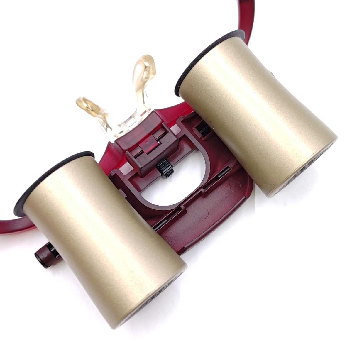 SANTEPLUS サンテプラス カブキグラス KG-L413 Kabuki Glasses 4×13 13