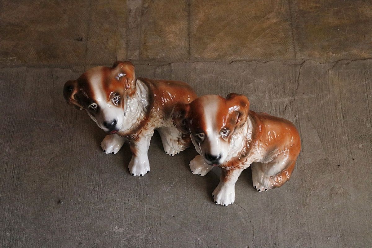 犬 2匹
