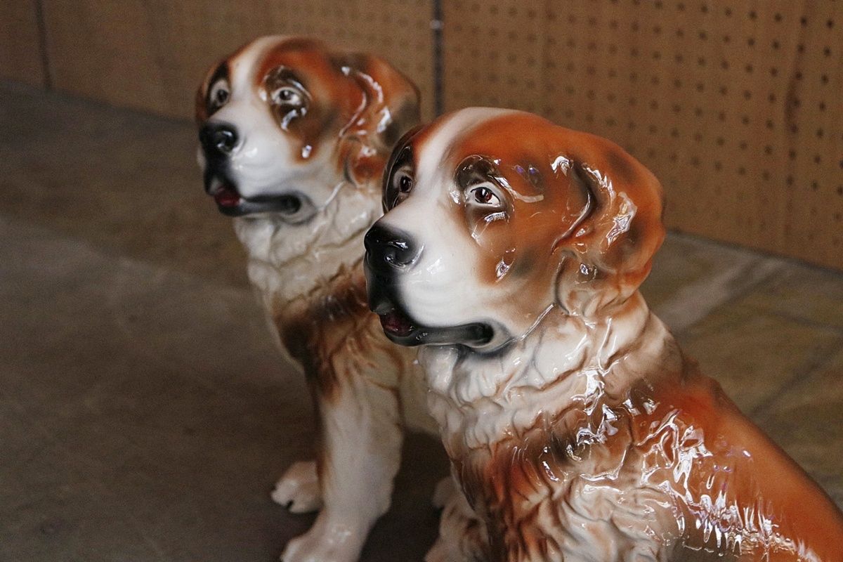 犬