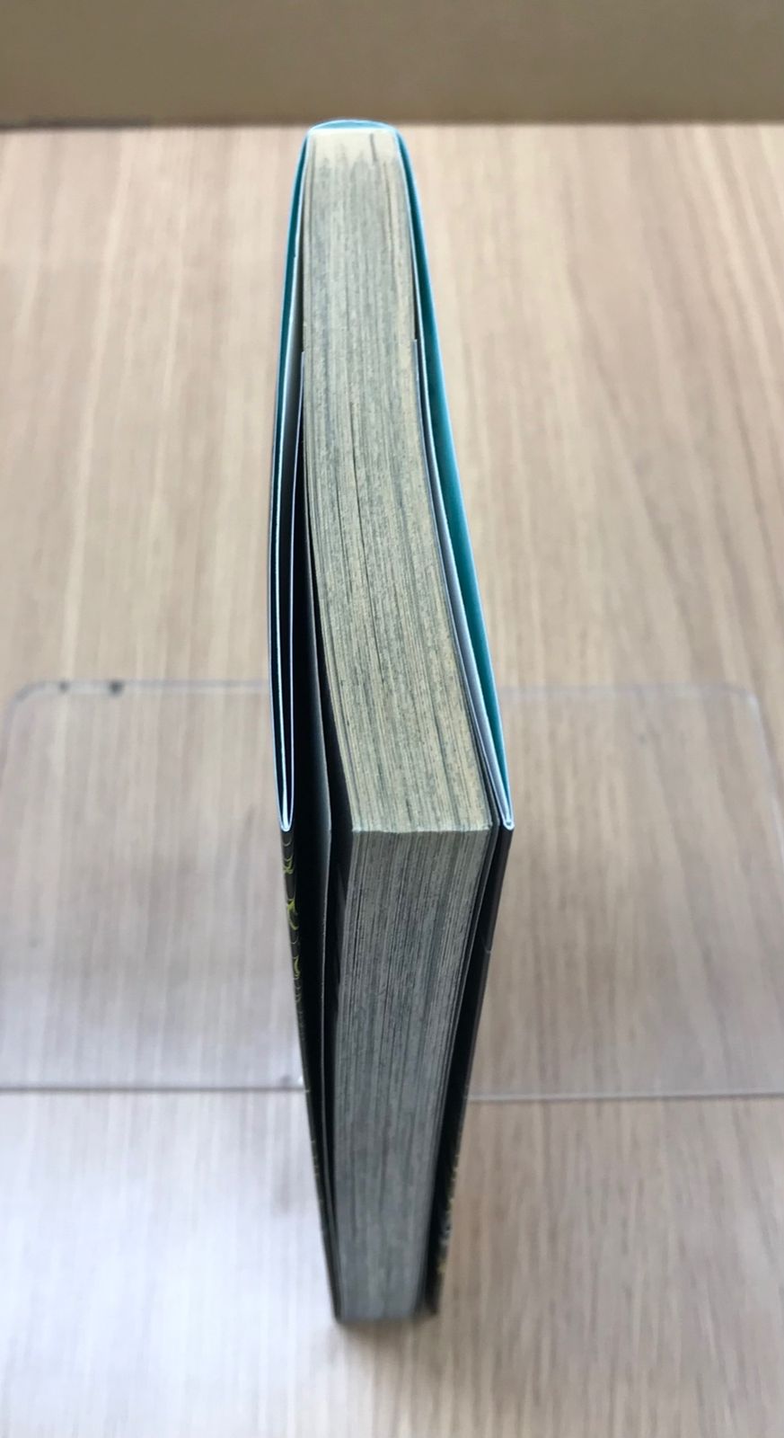 地獄少女 9巻/【作者】永遠幸/GF-0226001412-YP/GF10451 - メルカリ