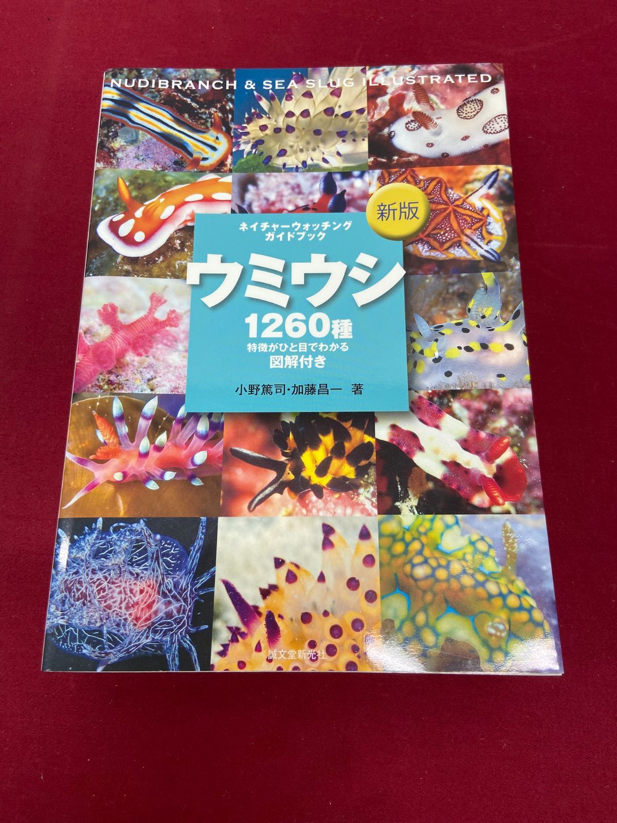 ネイチャー ウォッチングガイドブック ウミウシ 1260種 特徴がひと目で