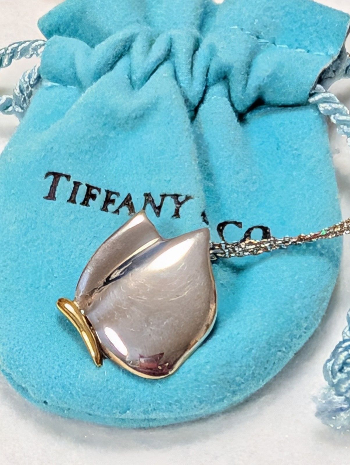 美品 TIFFANY & CO. ティファニー バタフライ ネックレス シルバー 925 