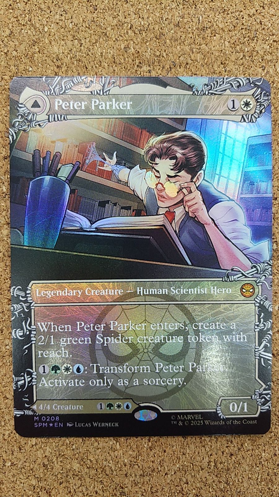 〇MTG ボーダーレス ピーター・パーカー/アメイジング スパイダーマン