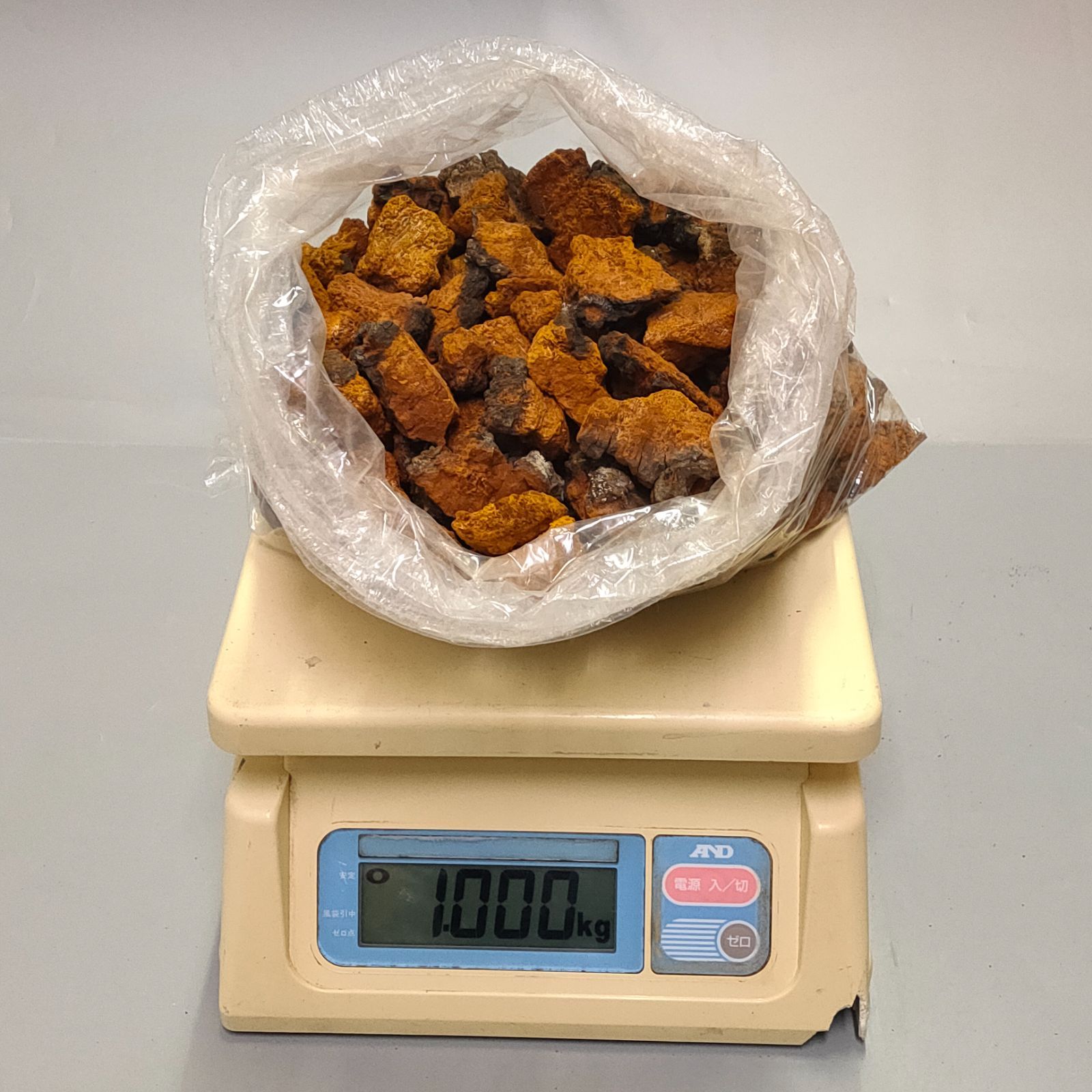 北海道産 道北地方 天然 カバノアナタケ 乾燥済み 1・2キロ 北海道