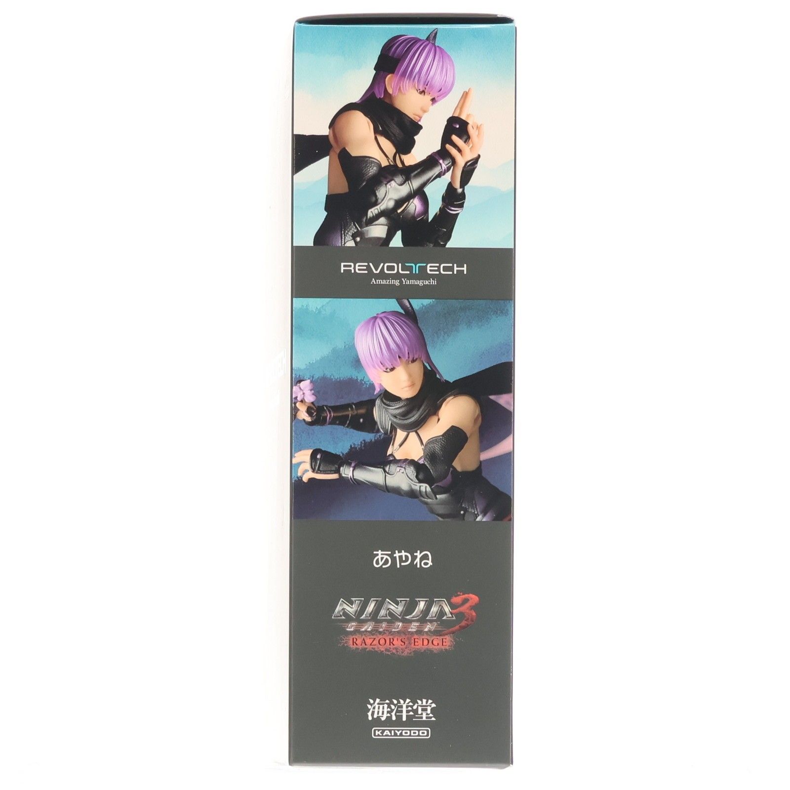 アメイジング・ヤマグチ あやね NINJA GAIDEN 3: Razor's Edge