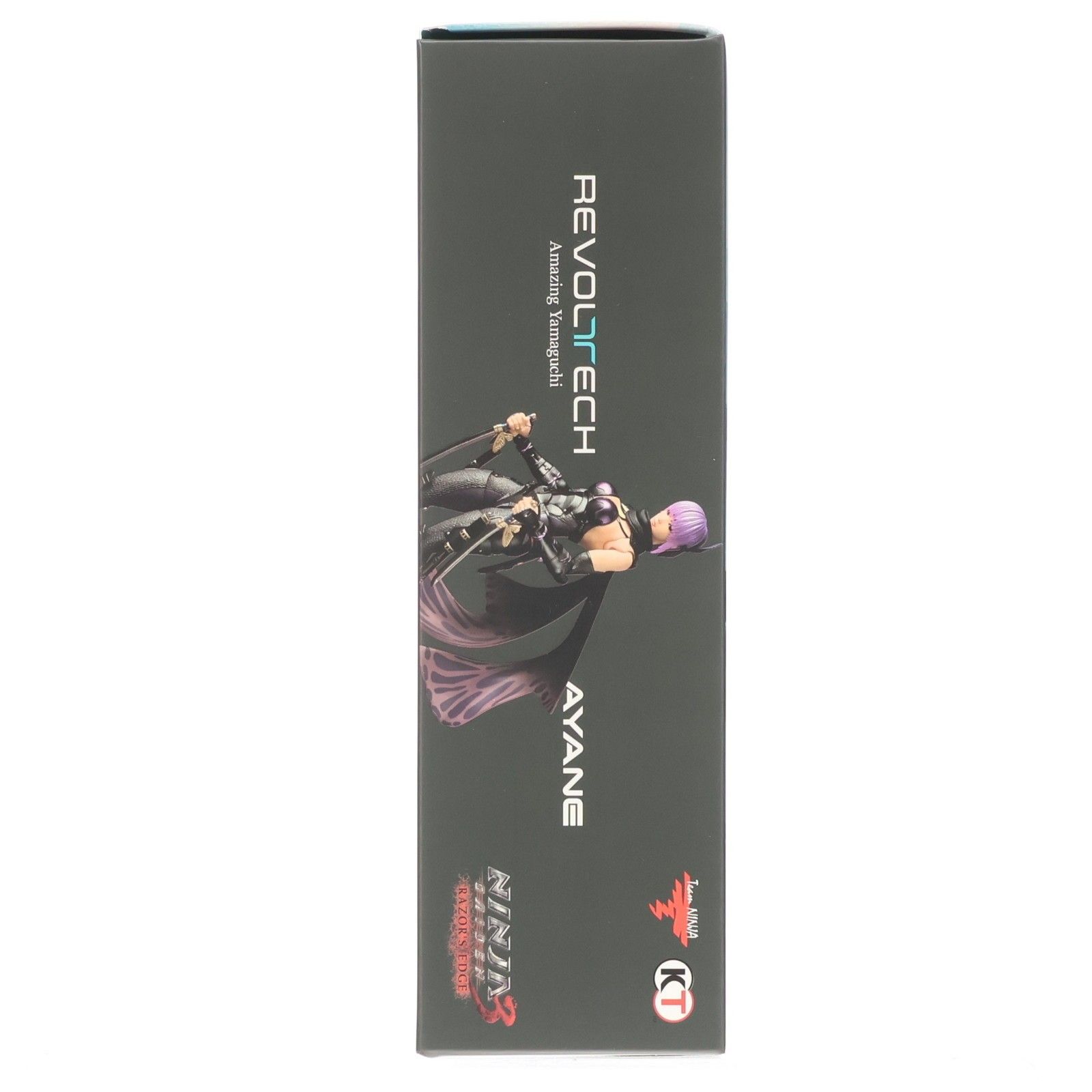 アメイジング・ヤマグチ あやね NINJA GAIDEN 3: Razor's Edge