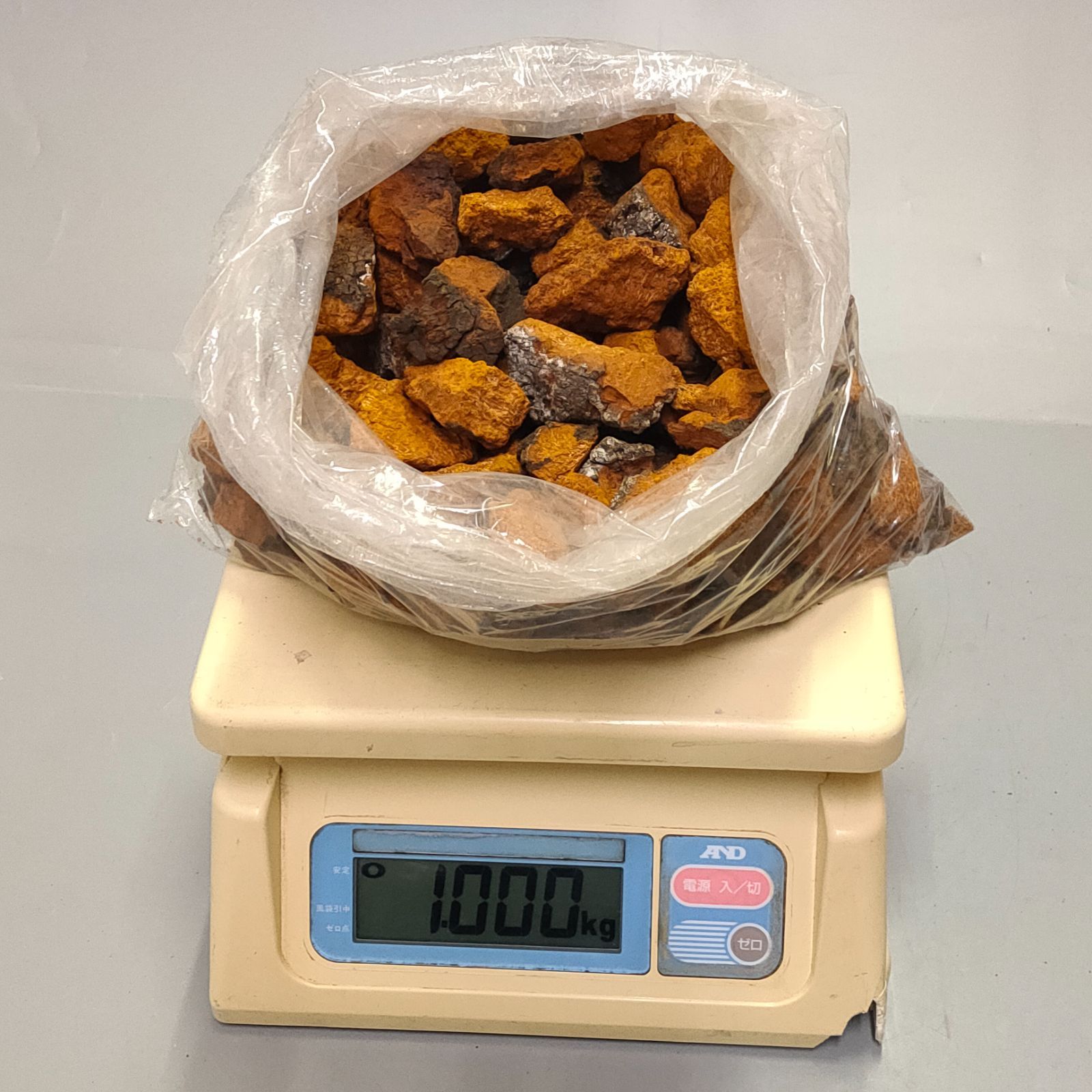 北海道産カバノアナタケ 1kg 自然物 - メルカリ