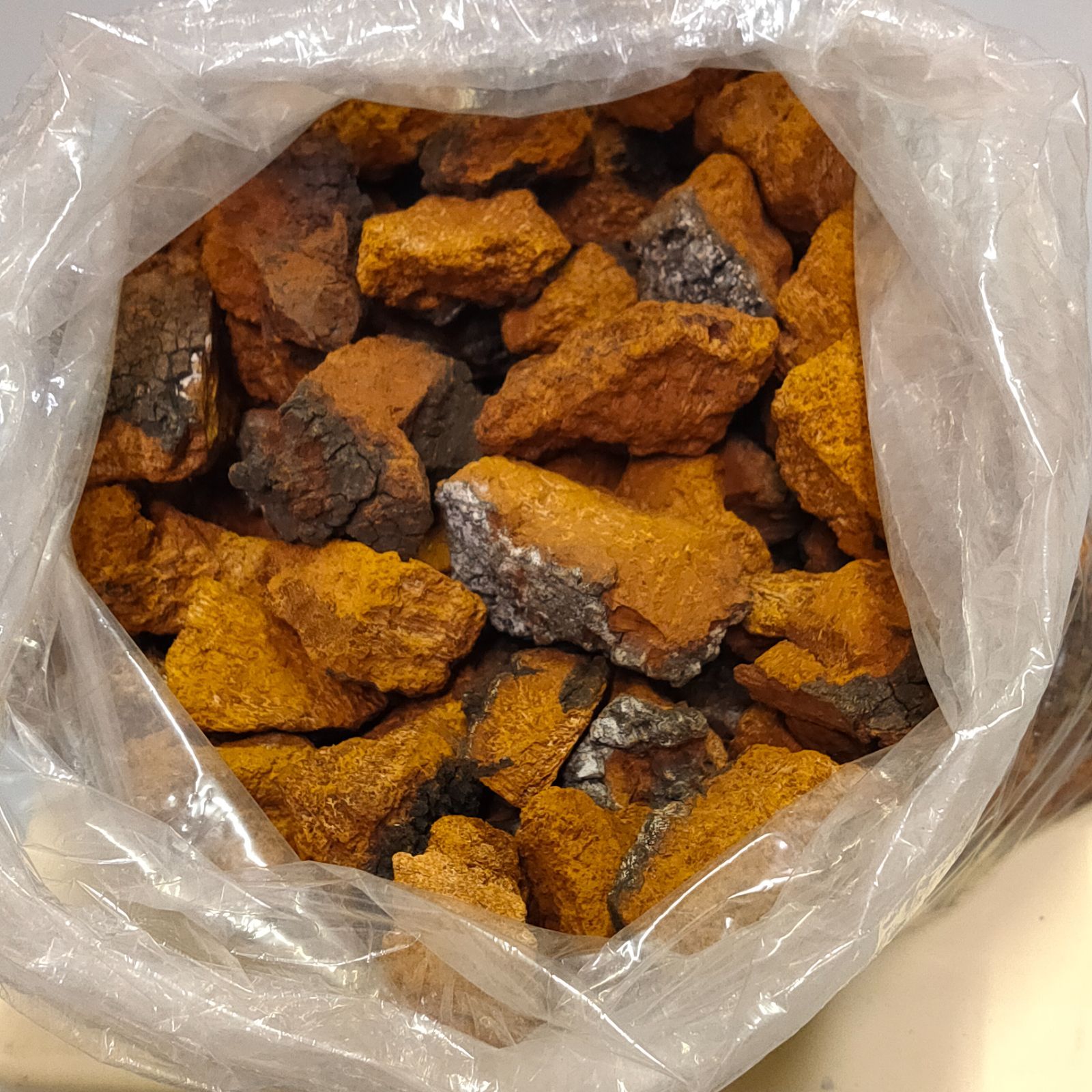 北海道産カバノアナタケ 1kg 自然物 - メルカリ