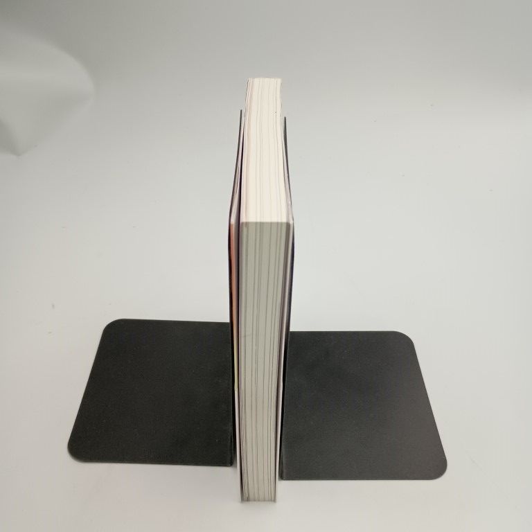 シューゲイザー・ディスク・ガイド revised edition 佐藤一道 黒田隆憲