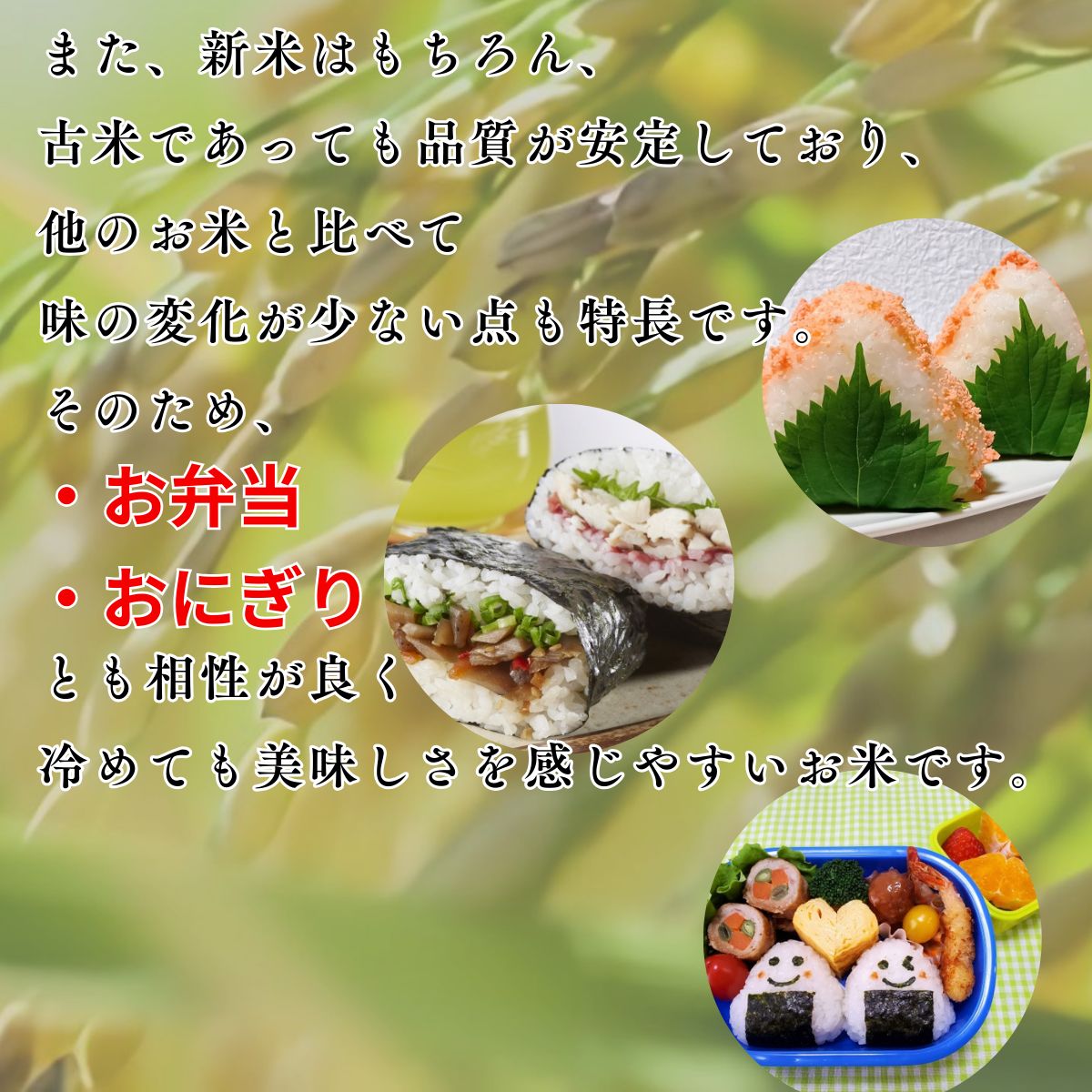 新米】元気つくし20kg＆すっきりすっぴん茶 セット - メルカリ