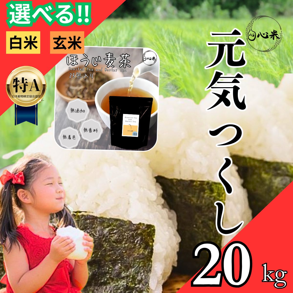 糸井哲夫 益子焼 赤絵 春夏秋冬 茶碗 共箱 茶道具 糸井哲夫 益子焼