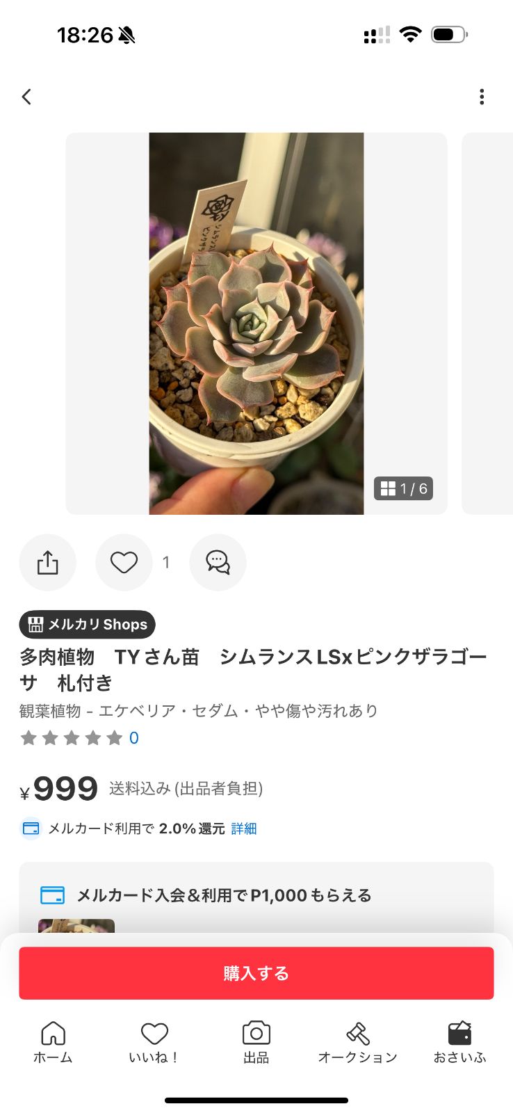 ももたろ様　おまとめ mizutama様 おまとめ - メルカリ