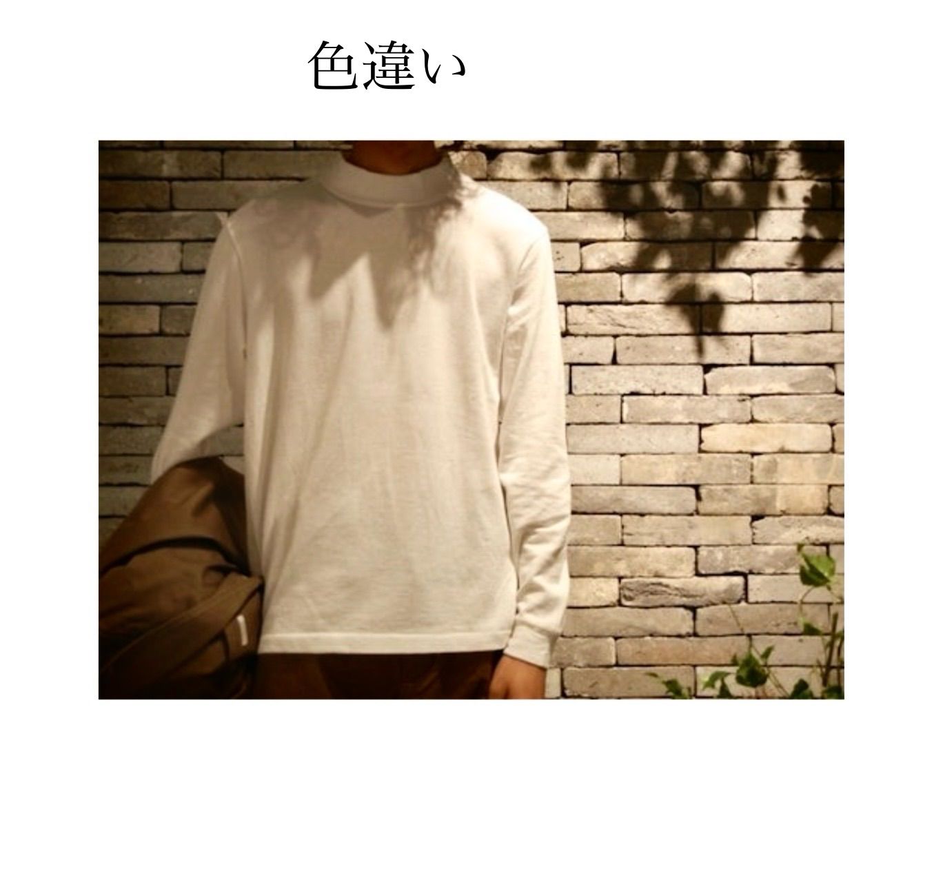 cY04 COMOLI ハイカット モックネック 裏起毛 カットソー 綿 コットン