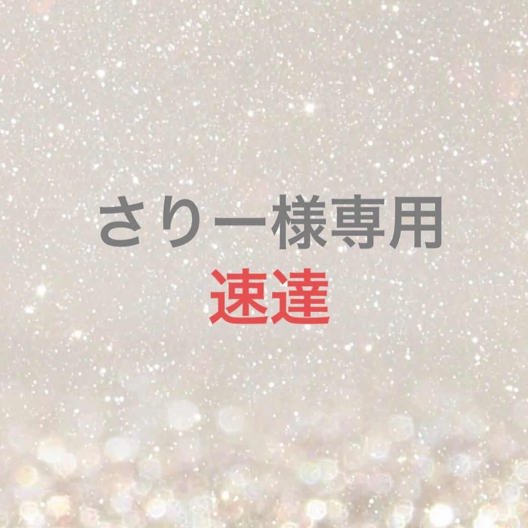 ♡様＊専用ページ さりー様専用 - メルカリ