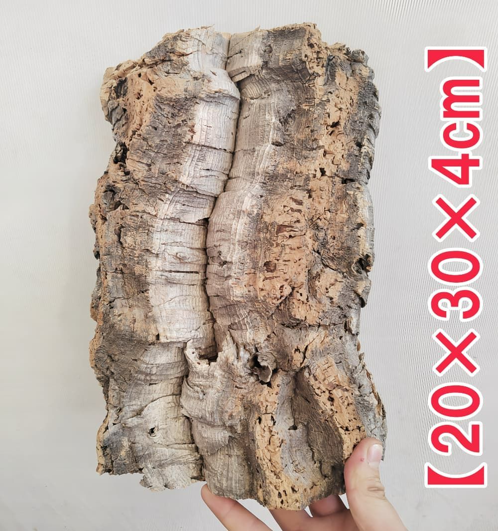 g233 ポルトガル産 厚め コルク樹皮 コルク板 バージンコルク 送料無料