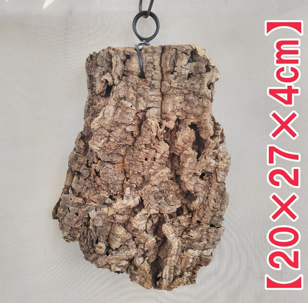 g232 ポルトガル産 厚め コルク樹皮 コルク板 バージンコルク 送料無料