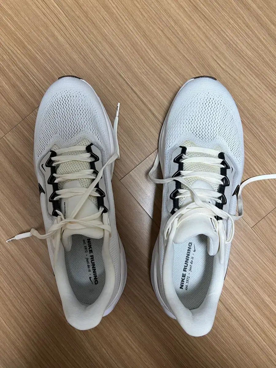 ナイキ ペガサス 41 FANTOM