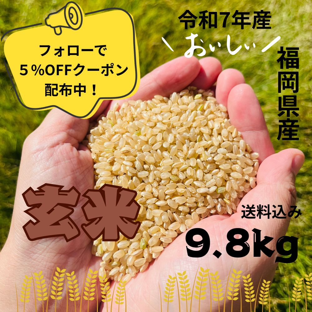 令和7年産 福岡県産 】玄米 夢つくし 10kg 農家直送 甘みのある