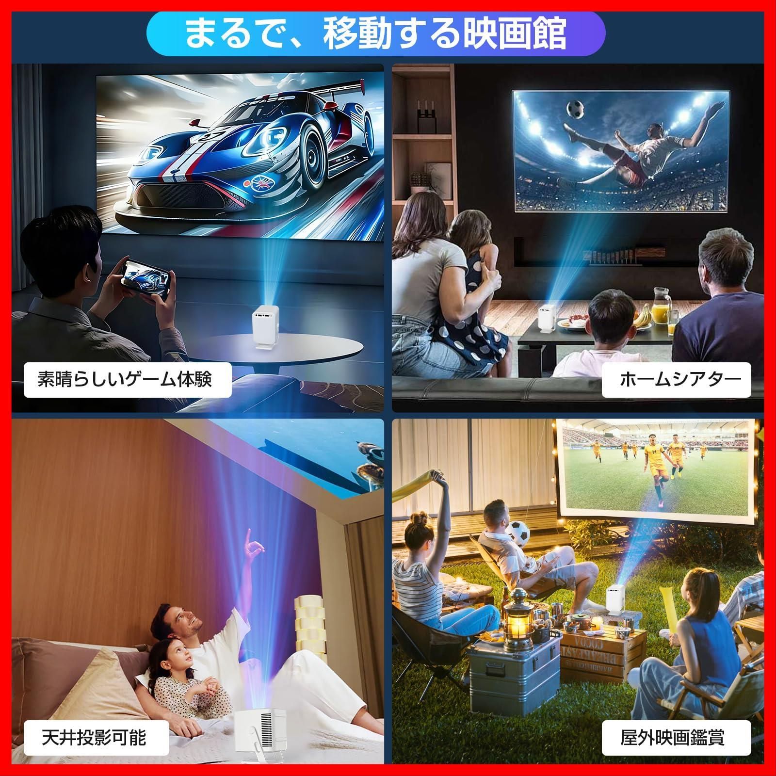 日本語取扱説明書