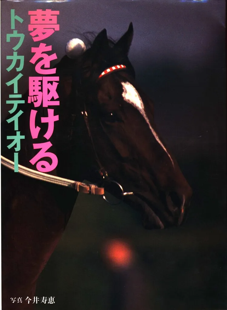 写真家 今井壽惠 今井寿恵 夕日 馬 JRA 写真家 今井壽惠 今井寿恵 夕日 馬 JRA 【公式通販】