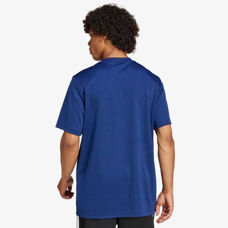 送料無料・匿名配送】adidas ラグビー ウェア フランス代表 24/25