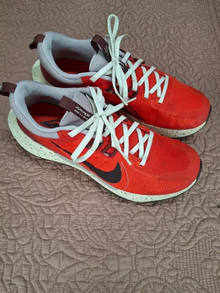 260 NIKE トレイル ランニングシューズ スニーカー 5039